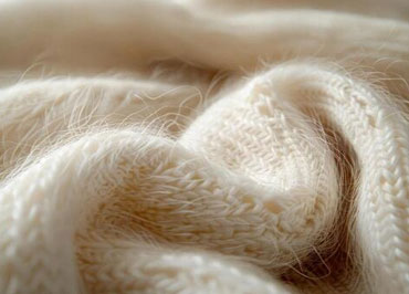 Texture Innovation